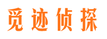 汾阳市调查公司